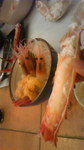 海鮮丼とカニ